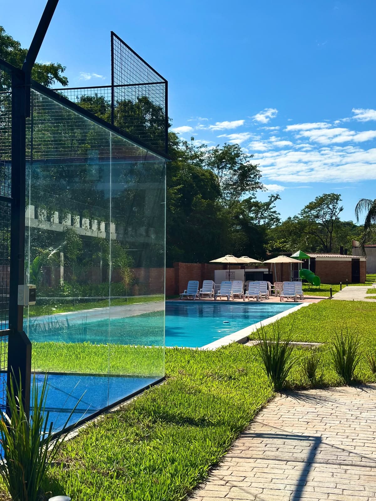 Piscina con solárium y vegetación
