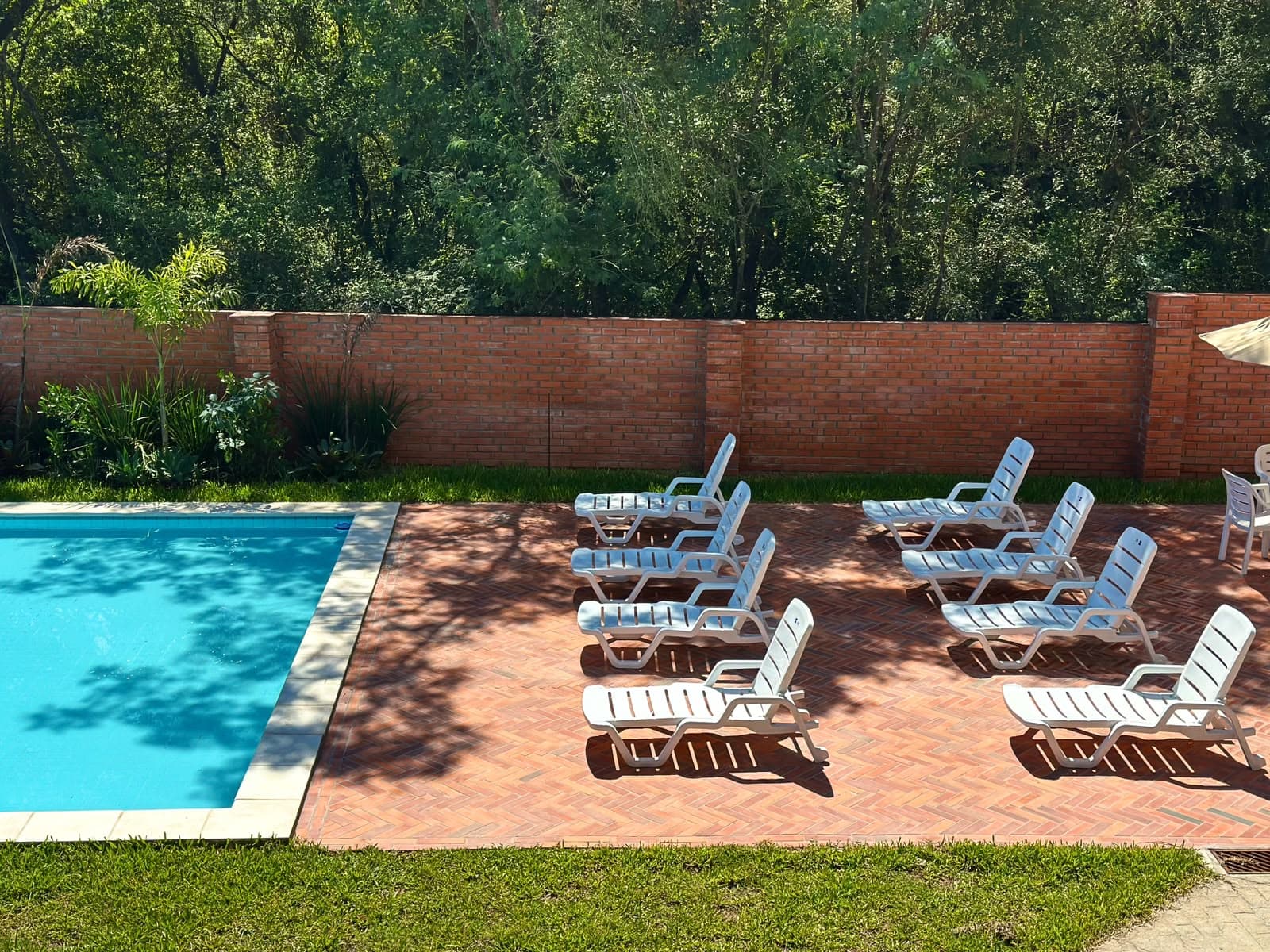 Reposeras a la sombra junto a la piscina